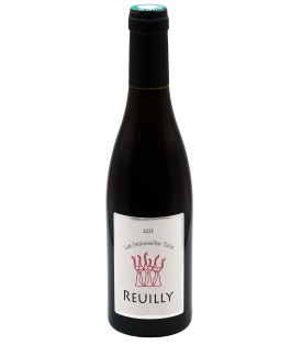 Reuilly Rouge - La Commanderie 2021 - Les Demoiselles Tatin du Domaine de Ballandors en demi-bouteille 37,5cl sur VINAdemi